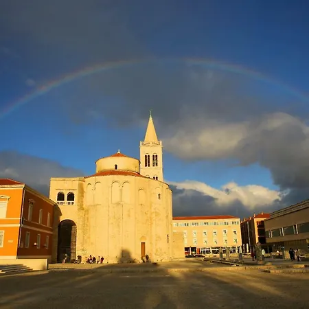 Rose Zadar